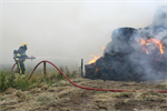 Prio 2 Berm Ruigte Brand Miedwei Twijzel